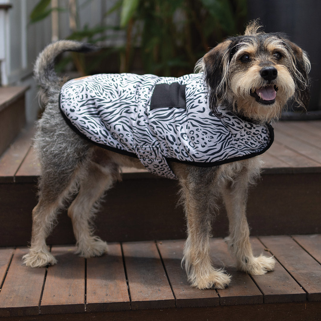 Wild Thing Soft Dog Jacket