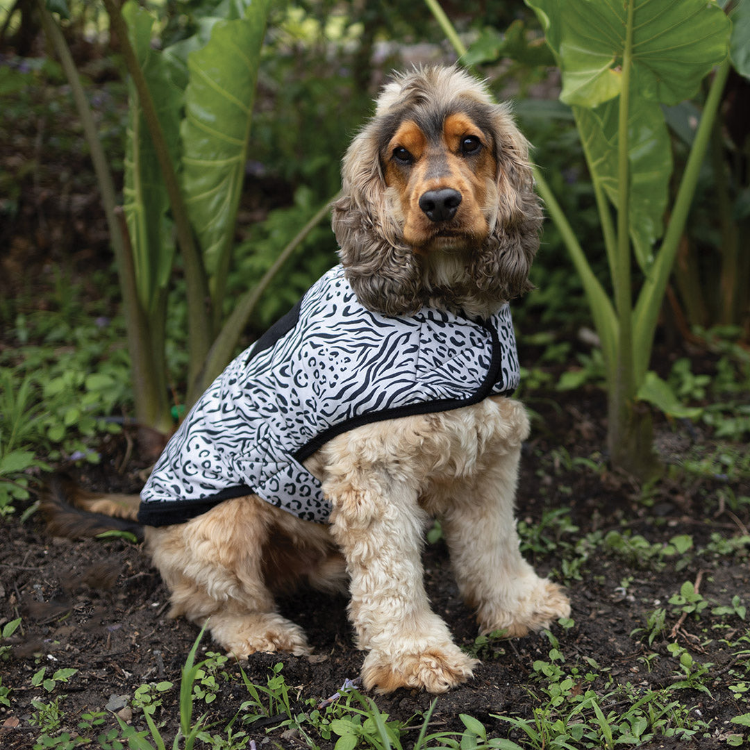 Wild Thing Soft Dog Jacket