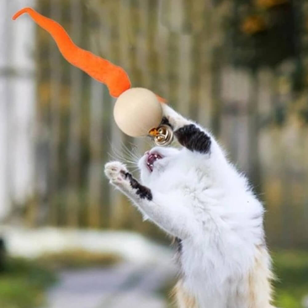 Wiggly Ball Cat Bell Toy. Shop Cat Toys on Mounteen. Worldwide shipping available.